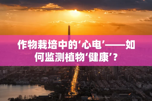 作物栽培中的‘心电’——如何监测植物‘健康’？