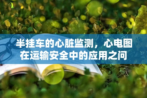 半挂车的心脏监测，心电图在运输安全中的应用之问