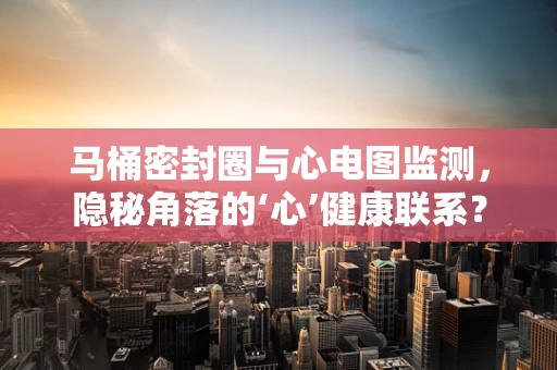 马桶密封圈与心电图监测，隐秘角落的‘心’健康联系？
