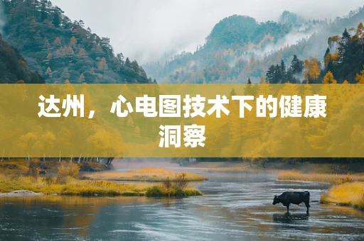 达州，心电图技术下的健康洞察
