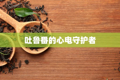 吐鲁番的心电守护者