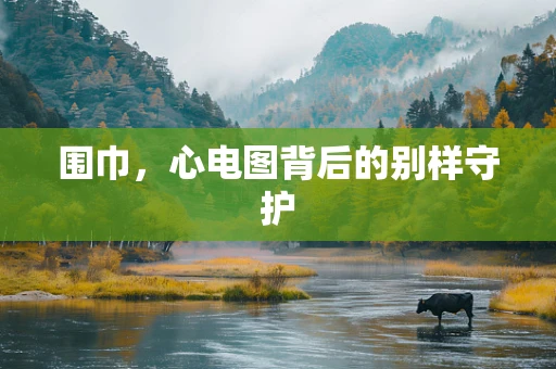 围巾，心电图背后的别样守护