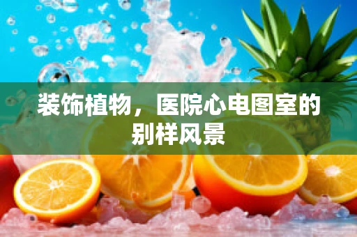 装饰植物，医院心电图室的别样风景