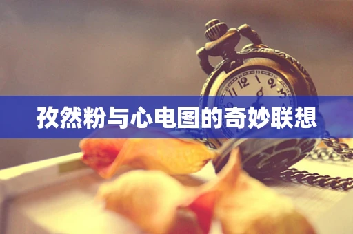 孜然粉与心电图的奇妙联想