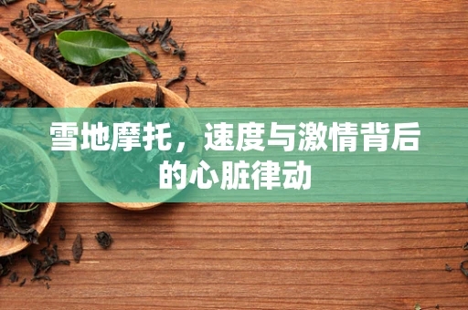 雪地摩托，速度与激情背后的心脏律动