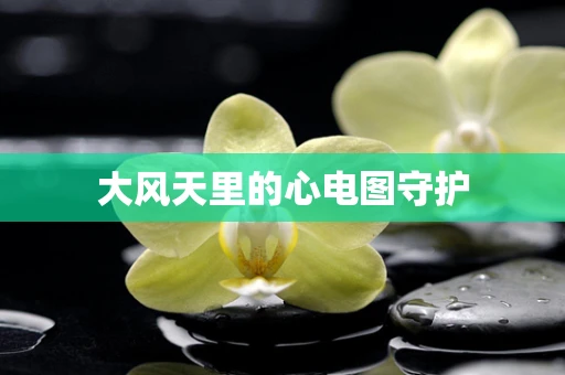 大风天里的心电图守护