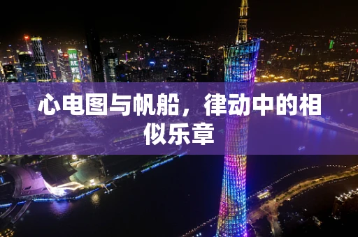 心电图与帆船，律动中的相似乐章