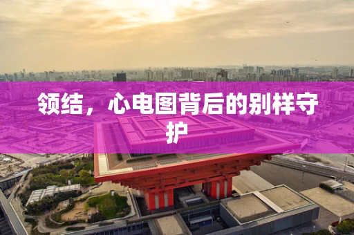 领结，心电图背后的别样守护