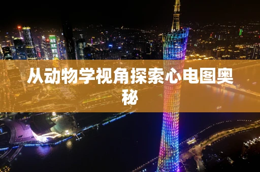 从动物学视角探索心电图奥秘