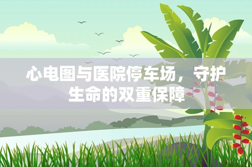 心电图与医院停车场，守护生命的双重保障