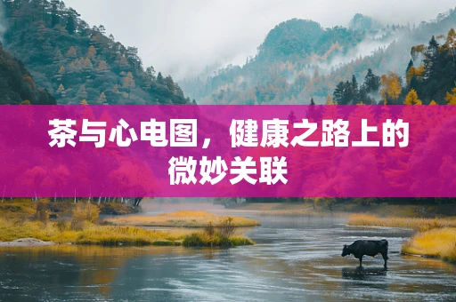 茶与心电图，健康之路上的微妙关联