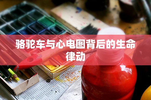 骆驼车与心电图背后的生命律动