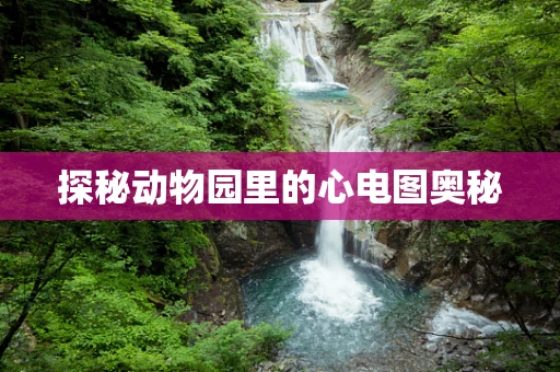 探秘动物园里的心电图奥秘