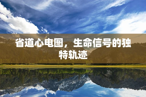 省道心电图，生命信号的独特轨迹