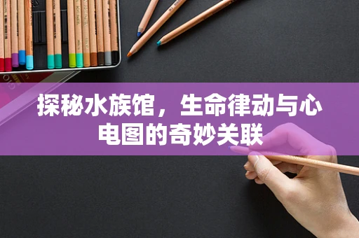 探秘水族馆，生命律动与心电图的奇妙关联