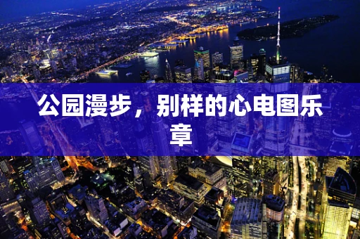 公园漫步，别样的心电图乐章
