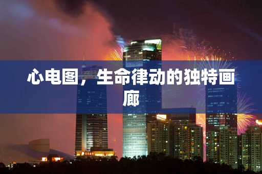 心电图，生命律动的独特画廊