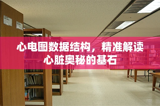 心电图数据结构，精准解读心脏奥秘的基石