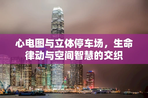 心电图与立体停车场，生命律动与空间智慧的交织