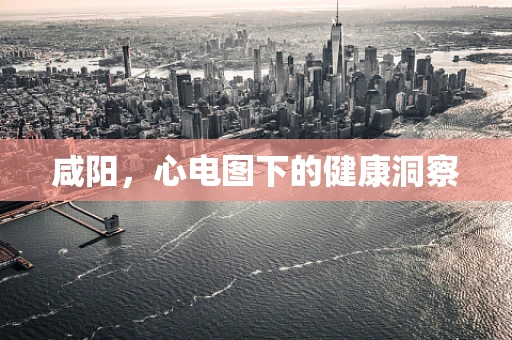 咸阳，心电图下的健康洞察