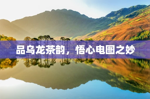 品乌龙茶韵，悟心电图之妙