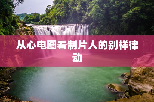 从心电图看制片人的别样律动