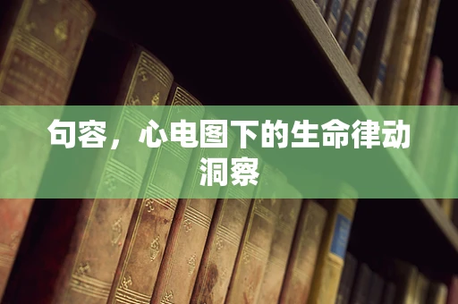 句容，心电图下的生命律动洞察