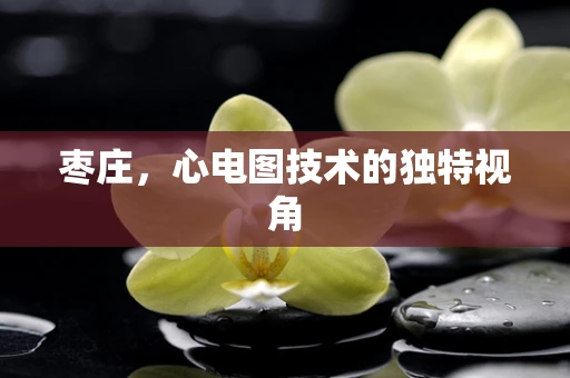 枣庄，心电图技术的独特视角