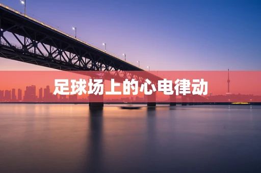 足球场上的心电律动