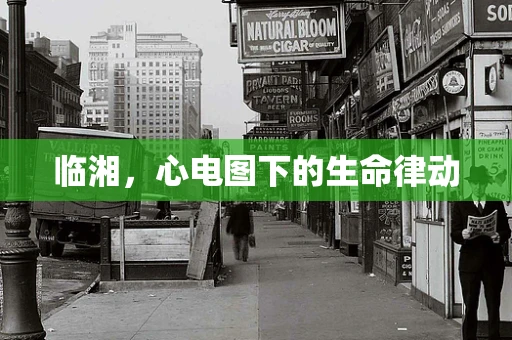 临湘，心电图下的生命律动