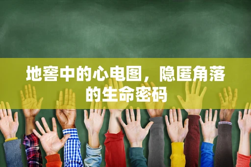 地窖中的心电图，隐匿角落的生命密码