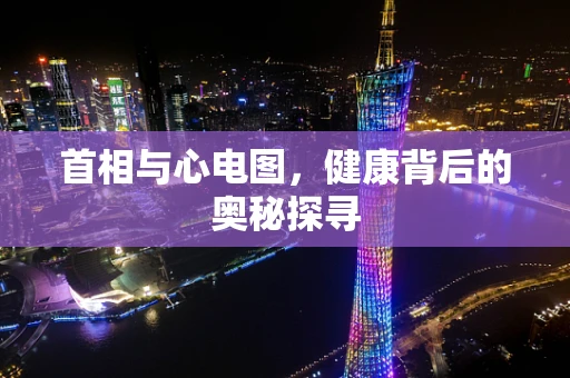 首相与心电图，健康背后的奥秘探寻