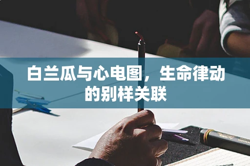 白兰瓜与心电图，生命律动的别样关联