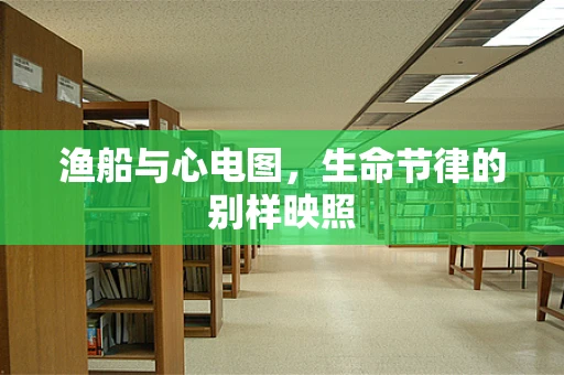 渔船与心电图，生命节律的别样映照