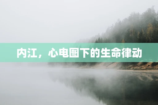 内江，心电图下的生命律动