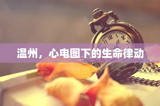 温州，心电图下的生命律动