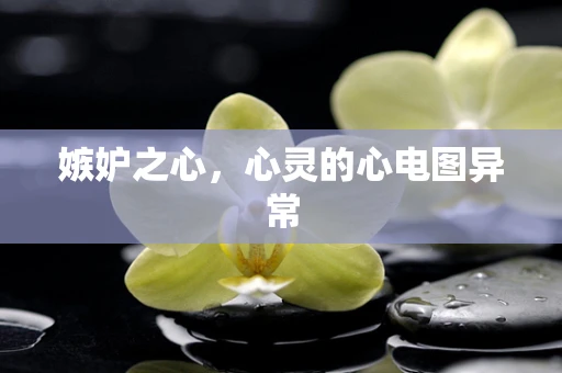 嫉妒之心，心灵的心电图异常