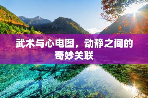 武术与心电图，动静之间的奇妙关联