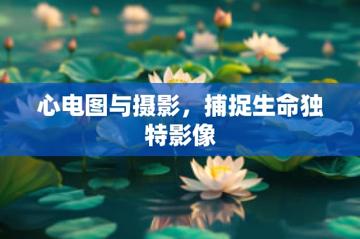 心电图与摄影，捕捉生命独特影像