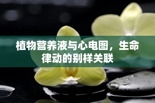 植物营养液与心电图，生命律动的别样关联