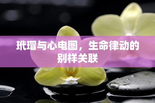 玳瑁与心电图，生命律动的别样关联