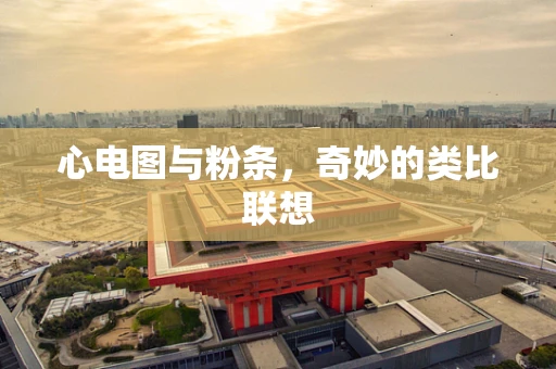 心电图与粉条，奇妙的类比联想
