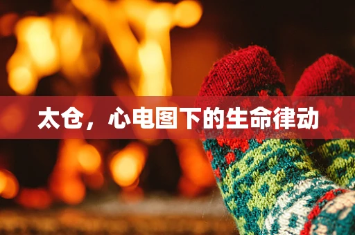 太仓，心电图下的生命律动