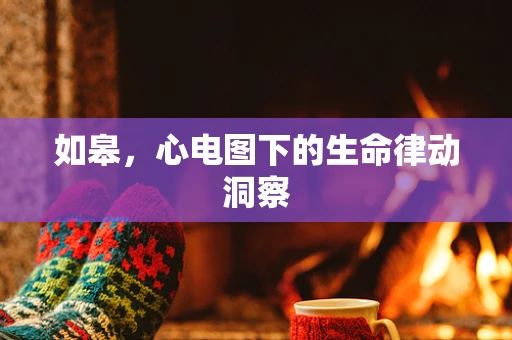 如皋，心电图下的生命律动洞察
