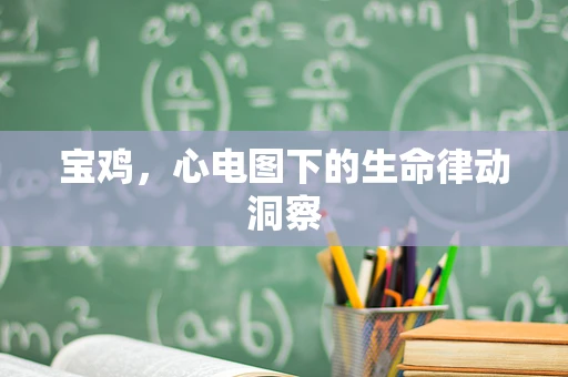 宝鸡，心电图下的生命律动洞察