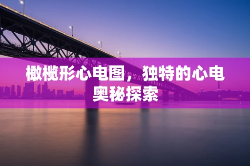 橄榄形心电图，独特的心电奥秘探索