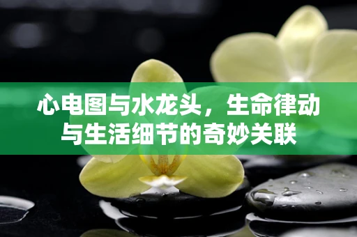 心电图与水龙头，生命律动与生活细节的奇妙关联