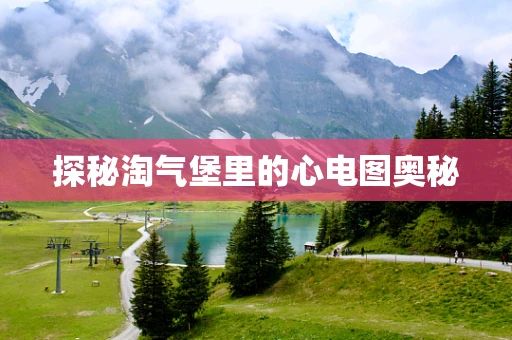 探秘淘气堡里的心电图奥秘