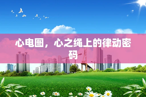 心电图，心之绳上的律动密码