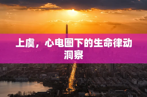 上虞，心电图下的生命律动洞察